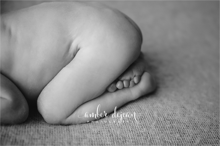 Ozzy Newborn Session