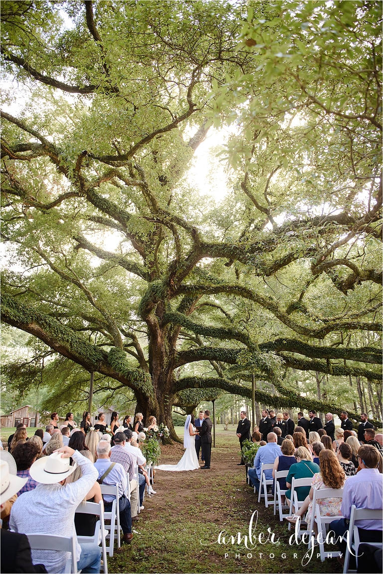 Lauren and Bradley - wedding day