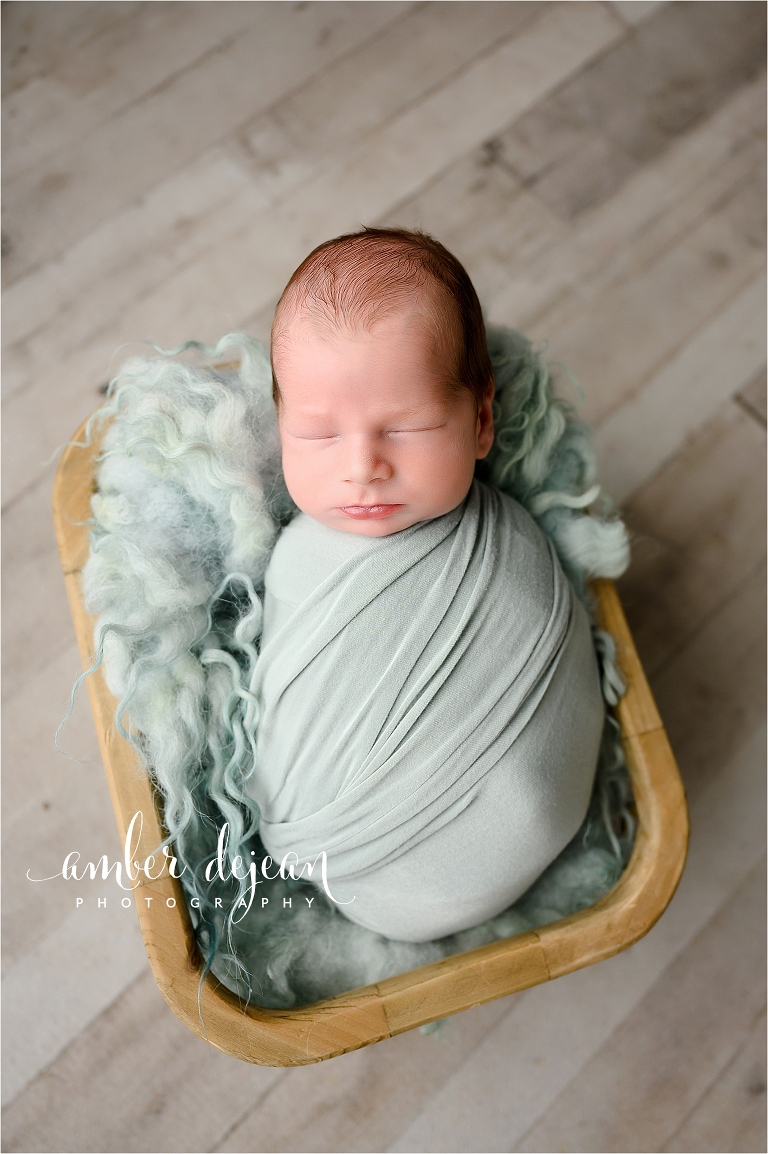 Colt newborn session