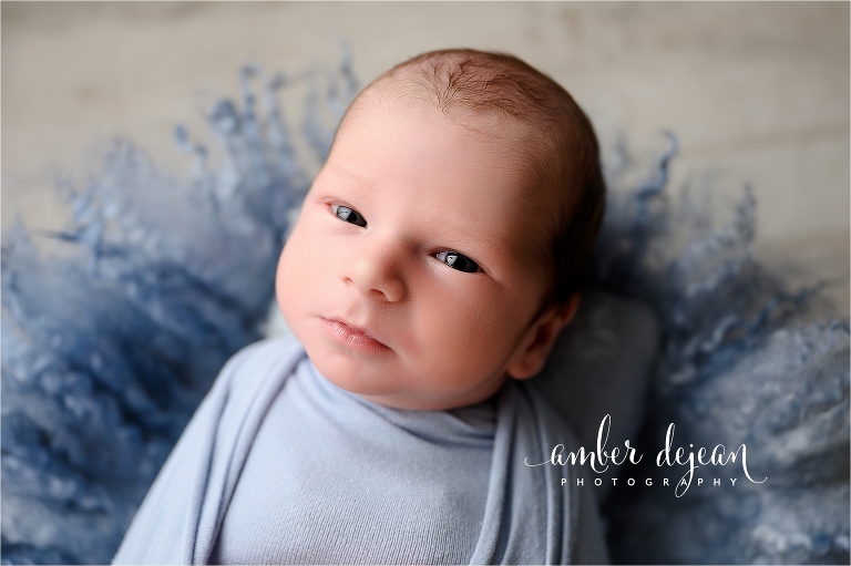 Colt newborn session
