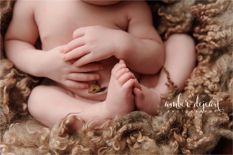 Haston newborn session