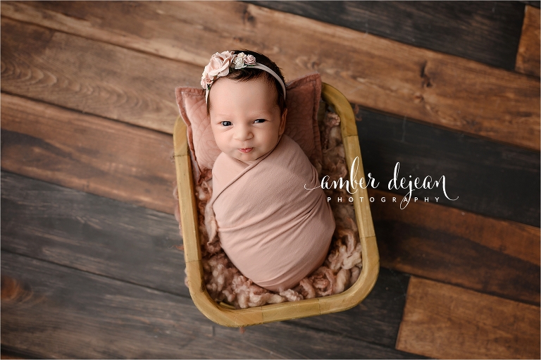 Charlotte newborn photos