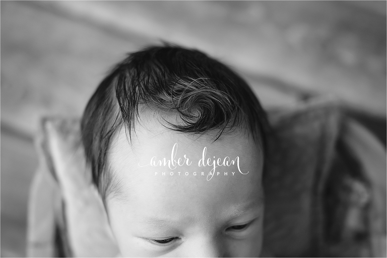 Charlotte newborn photos