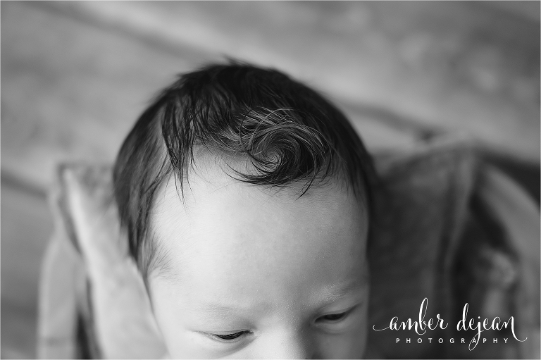 Charlotte newborn photos