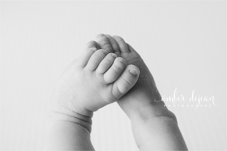 Charlotte newborn photos