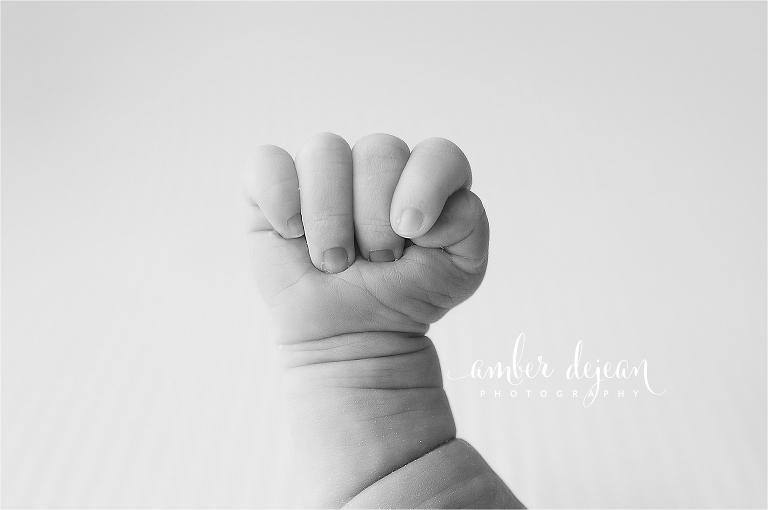 Charlotte newborn photos