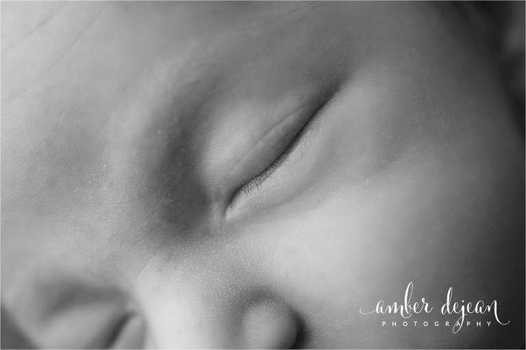 Charlotte newborn photos
