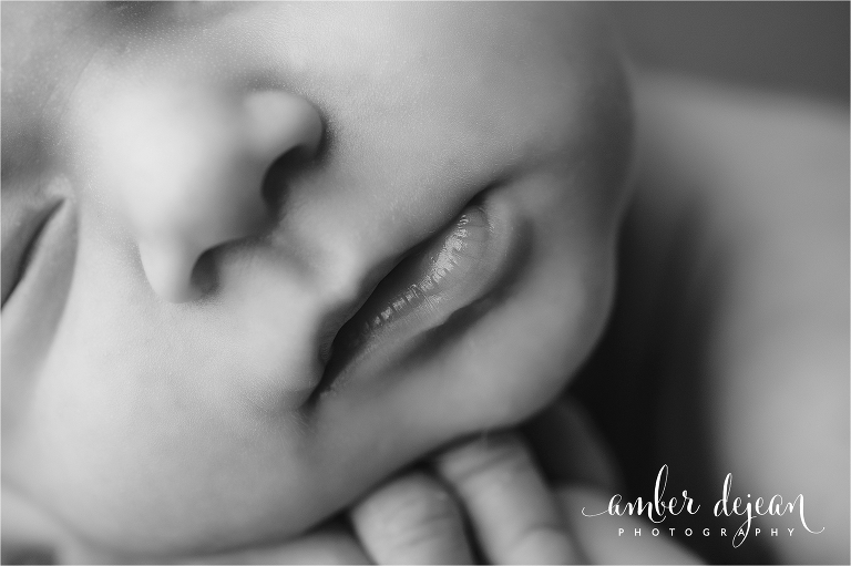 Charlotte newborn photos