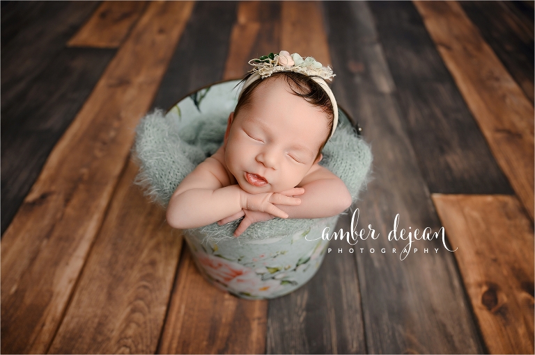 Charlotte newborn photos