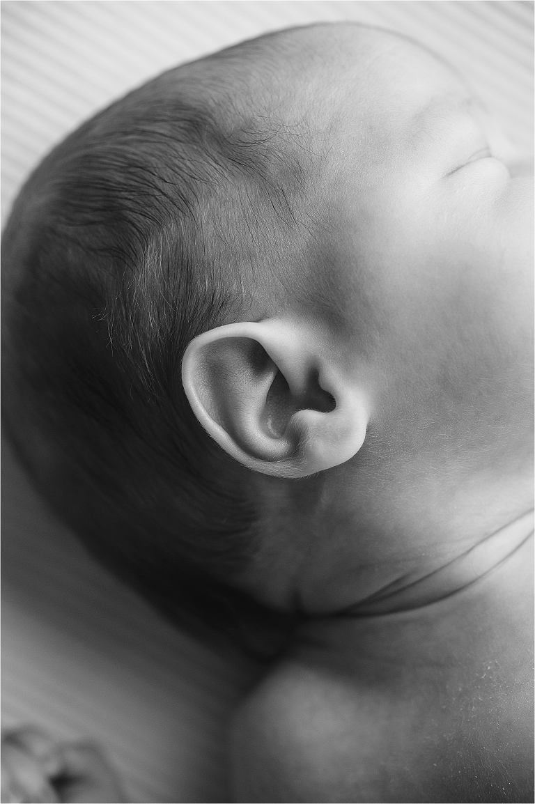 Roman's newborn session